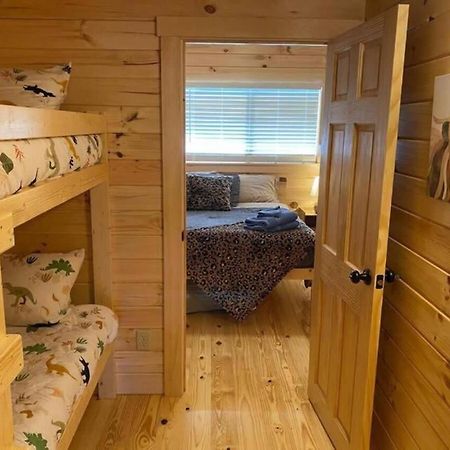 Serene 1Br Cabin Near Nc Z00 With Loft & Waterview Ашбъро Екстериор снимка